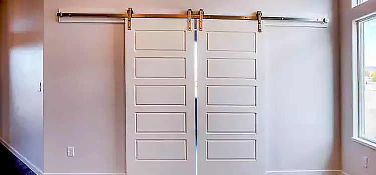 Glass Barn Door with Installation Hardware Kit Montgomery Village